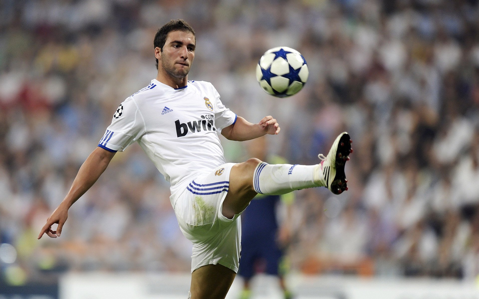 支持瑜伽教育发展，培养专业人才，瑜伽教培上完如何发展